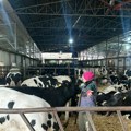 Država daje i do 3 miliona dinara za farme: Pogledajte da li ispunjavate uslove