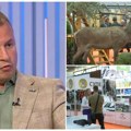 (Video) Ovogodišnji "Lorist" sa nikad bogatijim sadržajem Planira se i veliki akvarijum, esponati iz Afrike, a direktor Sajma…