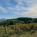 Strašna slika iz srca Šumadije: Ljudi plaču kad vide šta im je toplotni talas uništio, ostalo malo dana za spas