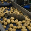 Bomba iz Drugog svetskog rata pronađena u Nemačkoj među krompirom: Prošla sortiranje i pranje u fabrici