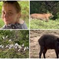 Miljana imala bliski susret s leopardom na Šri Lanki, opisala do detalja šta se zbilo: "Nismo gajili nade, ali imali smo…