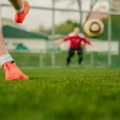 Vojvođanska fudbalska liga – jug Petarda Veterničana