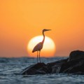 Horoskop za 27. jun: Bikovi lako ispadaju iz ravnoteže, Vagama jedno poznanstvo može promeniti sve, a Rakovi?
