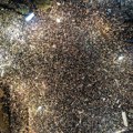 Veliki broj advokata nudi besplatnu pravnu pomoć učesnicima blokada u Kragujevcu i Aranđelovcu
