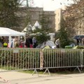 Advokatica: Student Bogdan sinoć od batina izgubio svest, ničim izazvani muškarci izleteli iz parka i napali ga