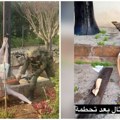 IDF najavljuje kaznu: Izraelski vojnik oskrnavio statuu Bogorodice na jugu Libana