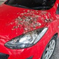 Kako ukloniti ptičji izmet sa automobila? Mnogi prave grešku i oštete lak