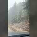 Zahlađenje donelo sneg: Pahulje zabeležene u okolini Čačka (VIDEO)