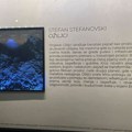 Izložba "Ožiljci" Stefana Stefanovskog u Galeriji na Štrafti