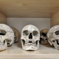 Drevna DNK iz Srbije rešava misteriju: Kosturi progovorili iz vekovnih grobova: Koliko slovenske krvi imaju Srbi, Hrvati…