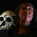 "Lobanja joj je bila ravna kao: Pica!" Naučnici otkrili kosti žene pa napravili pravi podvig: Ovo je lice neandertalke od pre…