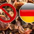 Povučeni vrganji iz Srbije u Nemačkoj: Oglasilo se Ministarstvo poljoprivrede