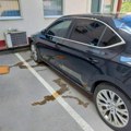 Napad na opštinska vozila – nastavak vandalizma