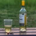 U Srbiji se godišnje popije 11 litara čistog alkohola po osobi a posledice pogađaju sve