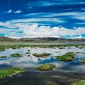 Studija otkrila mehanizam ponora ugljenika u travnjacima Tibetske visoravni