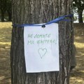 Zelenilo Beograd podnelo prijavu zbog nelegalne seče stabala na desnoj obali Dunava