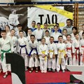 Карате: „Спартак Енпи“ најуспешнији на турниру у Темерину
