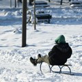 "Polarni" udar u Srbiji, temperature do -15: Meteorolog otkriva do kada će trajati ledeni talas