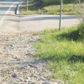 Ovo su prve slike sa mesta nesreće koja je izazvana džipom Sofije Šašić: mrtav konj, rasuti delovi srče