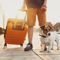 Agencije traže doplatu za gorivo: Šta zakon dozvoljava putnicima?