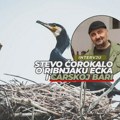 CARSKA BARA NA IVICI OPSTANKA: „Milioni evra su nestali, voda je nestala, a sada nestaje i priroda“ Carska bara