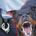 Otkrivene organizovane borbe pasa u Prizrenu: Evo koju kaznu je dobio organizator!