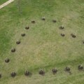 Srce od 21 stabla crvenog hrasta u beogradskom parku Ušće za tragično stradalu decu u „Ribnikaru“, Duboni i malom…