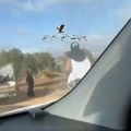(Video) Jezivo: Jevrejski doseljenik palicom skoro pretukao Palestinku na smrt: Američki novinar snimio brutalni napad na…