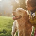Ove rase pasa idealno se slažu sa decom Strpljivi su, nežni i razigrani - najmlađi ih obožavaju