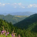 WWF: Srbija 16. maja ulazi u ekološki dug