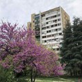 Domaće tržište nekretnina u prvom kvartalu dostiglo rekordne dve milijarde evra