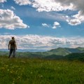 Прелеп призор са српске планине богате златом: Из шуме на Рогозни изронили неочекивани гости ВИДЕО