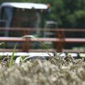 Promet na novosadskoj produktnoj berzi preko 80 miliona dinara Kukuruz najtraženiji, soja beleži pad, pšenicom slabo…