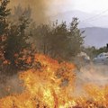 MUP: Požari kod Doljevca i na Divčibarama