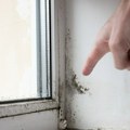 Грађевински инспектор открио начин како најбрже препознати да ли у кућу има влаге - иако на први поглед све делује чисто