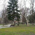 Požarevljani izabrali izvođače za obnovu zelene oaze u centru grada. Oživljavaju park i duh Francuske.
