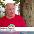 Veterinarske službe ne rade svoj posao kako treba