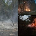 Borba sa požarima: 22 aktivna požara, najveći u Deliblatskoj peščari i na Stolovima