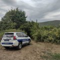 Brusilicom za metal izazvao jeziv požar na Bovanskom jezeru: Uhapšen muškarac (65), goreli objekti i šuma