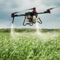 Kad traktor ne može među useve, poleće dron: Mladić iz Mihajlova njive obrađuje iz vazduha