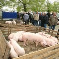 Cene teladi pale na 630 din/kg, prasadi 350 din/kg sa slabom potražnjom: Evo kakav je cenovnik na stočnim pijacama u Srbiji