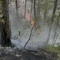 Izveo krave na ispašu po kiši, grom ga ubio Nesreća u Lukovu kod Vranja