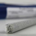 Osuđen na četiri i po godine zatvora jer je prodao 0,81 gram kanabisa i držao još 25 paketića