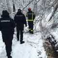 Nezavisni sindikat policije: Angažovanje policije i Žandarmerije ključno u borbi sa snežnim nepogodama