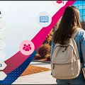 Gde se želje i poslovi razilaze