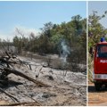 Подивљали пламен захватио и ловиште Војводинашуме отвориле капије за животиње у Делиблатској пешчари Евакуација дивљачи…