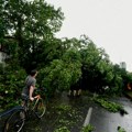 Palo drvo na devojčicu (12) u Novom Sadu zbog oluje! Mladića vetar oduvao sa motora - nevreme napravilo lom u Srbiji!