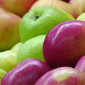 Prinos jabuka u Šumadiji za 10 odsto manji od proseka