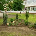Beogradska škola sada ima zelenije školsko dvorište uz podršku kompanije P&G Beograd