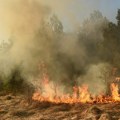 VIDEO Veliki požar u Podgorici: Gori Ćemovsko polje, vatra zahvatila više lokacija